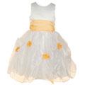 Sophia's Style Girl's Orange Flower Girl Dress