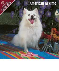 American Eskimo 2009 Wall Calendar