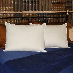 Ultimate Cotton Plush Density 305 Thread Count Pillows (Set of 2)