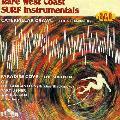 Various Artists - Rare West Coast Surf Instrumentals