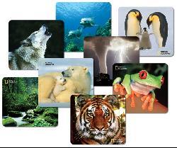 National Geographic Tiger Mouse Pad
