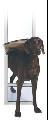 Deluxe Satin Large Pet Panel