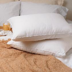 Advance Coolmax Pillows (Set of 2)
