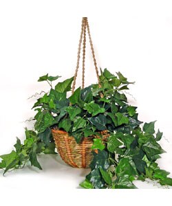 Forever Silk English Ivy Hanging Basket (case of 2)