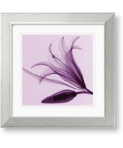 Steven N. Meyers Lily & Bud Framed Art Print
