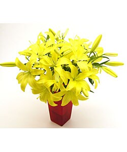 Bouquet of Yellow Lilies
