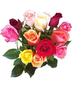 Simply Dozen Multicolored Roses
