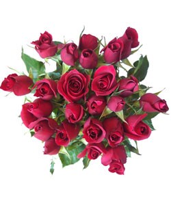 Simply Two Dozen Red Roses