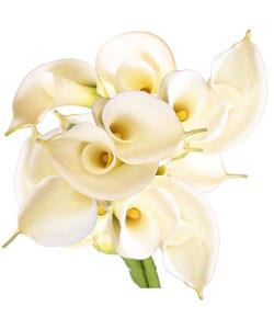 Simply Calla Lilies Bouquet