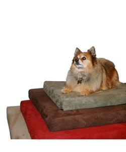 Medium Memory Foam Dog Bed with Microfiber Cover