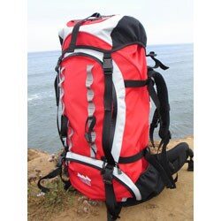 WFS The Traveler Expierienced Backpack