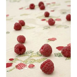 Raspberry Red/ Green Placemats (Set of 6)