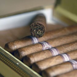Cigar of the Month Club (6 Months)