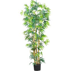 Silk Bambusa 6-foot Tree