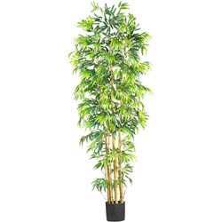 Silk Bambusa 7-foot Tree