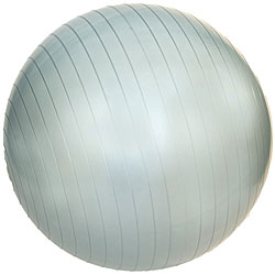 Professional 55 cm Exercise Ball with Pump