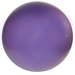 Professional 65 cm Exercise Ball