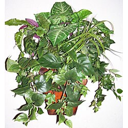 Mixed Tropical Greenery Wall Arrangement