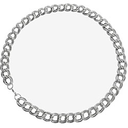 Stainless Steel Curb Chain Necklace