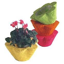 Sisal Summer Brights 6-inch Planters (Set of 4)