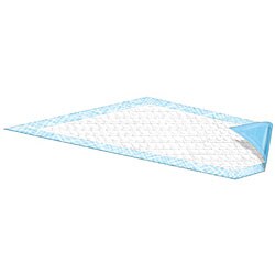 Attends EZ-Sorb 30-inch Square Underpads (Case of 150)