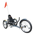 Complementing roadmaps on silver across borders Mobo Triton Pro Ultimate Three-wheeled Silver Cruiser 20