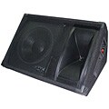 PylePro PASC12 Stage Speaker