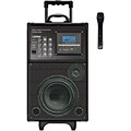 Free useful hints on Dj Supply Phoenix PylePro 300-watt VHF PA System with Microphone