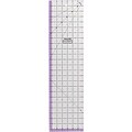 Donna Dewberry Collection Easy-To-Read Ruler