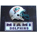 Information that is related to Mini Wooden surfboards Houston Texans 9x12 Helmet Plaque