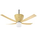 Hunter Valhalla 56-inch Ceiling Fan