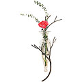Clear Amphora Vase with Twig Sconce