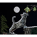Max's Moon Counted Cross Stitch Kit