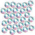 Austrian Crystal Xilion Rose Flatbacks (Case of 50)