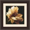 Charles Britt 'Timeless Grace I' Framed Art Print