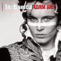 Adam Ant - The Essential Adam Ant