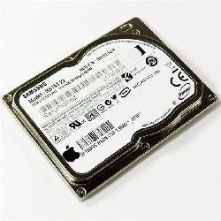 Samsung HS161JQ Ceata 160GB Hard Drive