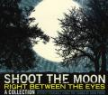Free connected guide on Chris Brown Cd Graffiti Shoot The Moon Right Between The Eyes: A Collectio - By Foucault,Jeffrey