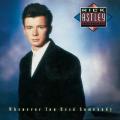 Rick Astley - Whenever You Need Somebody (Import)