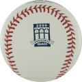 Rawlings Citi Field Inaugural Season MLB Baseball (Pack of 12)