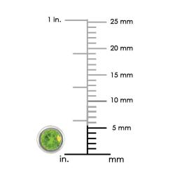 10k White Gold Peridot Stud Earrings