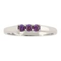 10k Gold February Birthstone Amethyst 3-stone Ring