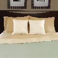 Decorative Accent Form Insert Pillows (Set of 2)