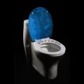 Essential roadmap on design graffiti t shirts Horizon Graffiti Designer Melamine Toilet Seat Cover
