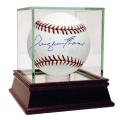 Steiner Sports Dwight Evans MLB Baseball