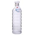 Glass Refillable Water Bottle
