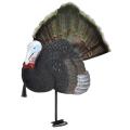 Edge by Expedite FanTom Jake Motion Tail Turkey Decoy