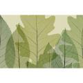 Steven N. Meyers '6 Leaves' Canvas Art