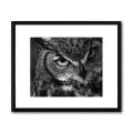 Glenn Pipapil 'Owl' Framed Art