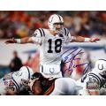 Steiner Sports Peyton Manning Autographed Photo